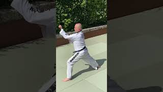 Choong moo application martialarts taekwondo judo application tagb takedowns [upl. by Hunsinger]