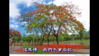 許下一個約定 小學畢業歌 [upl. by Rednal]