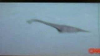 Amazing New Loch Ness Footage With Sound [upl. by David]