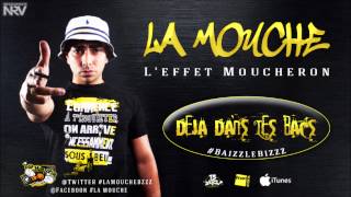 La Mouche  Interlude wanegaine  Leffet Moucheron AlbumDispo Fnac Itunes [upl. by Sivle]