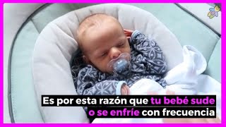 Sudor frió en niños 👉 ¿Por qué los bebés sudan frío mientras duermen 💖 tips clave para evitarlo [upl. by Onirefes]