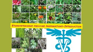 ETHNOVETERINARY MEDICINE PREPARATIONS INTRODUCTION [upl. by Menell]