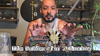 The Spidershop Unboxing  Cyriopagopus sp Schmidti [upl. by Nitsugua350]