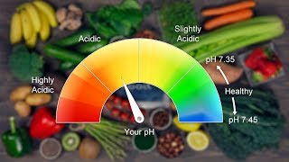 10 Highly Alkaline Foods That Will Benefit Your Body Alkaline Foods List [upl. by Atnima]