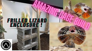 New Frilled Lizard Enclosure [upl. by Belda483]