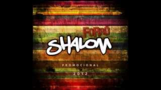 Banda Shalom Promocional  Estou de pé [upl. by Winslow]