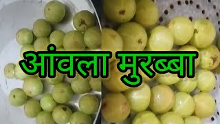 आंवला मुरब्बा का परफेक्ट तरीका  Amla Murabba Gooseberry Sweet shivanidhacta youtube love [upl. by Aihsetan]