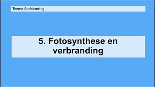 Basisstof 5 Fotosynthese en verbranding [upl. by Kcira]