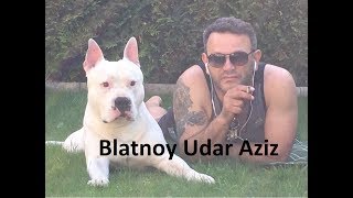 ✵18Blatnoy Udar ✵ Pod Kaifam ✵2018 Live [upl. by Nivle]