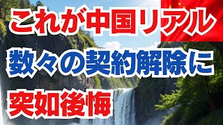 これが中国リアル 数々の契約解除に 突如後悔 [upl. by Nnylyar]