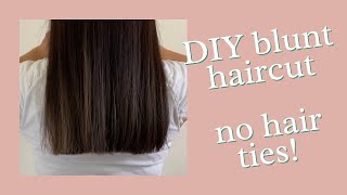 How to do a Blunt Haircut at home  DIY  Professional Hairstylist Explains [upl. by Wit747]