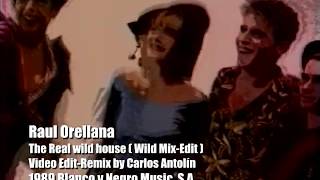 Raul Orellana  The Real wild house Wild MixVideo EditRemix by Carlos AntolínVCA1989 720p [upl. by Dlanor]