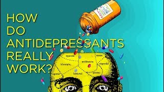 Making Sense of Antidepressants amp Health  The History Logic and Current Science [upl. by Dorothi518]