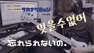 サカナクション사카낙션  忘れられないの 잊을수없어  Focusrite Scarlett Solo 4th [upl. by Youngran]