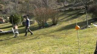 Archery Trick Shots  Arrow Vs Orange  12m [upl. by Saphra]