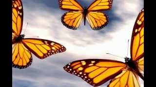 Attract Butterflies to Your Garden EASILY  How to Grow Asclepias Plants [upl. by Lanoil]