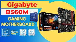 B560M Gaming HD Gigabyte Motherboard Support Processor in Hindi Detail [upl. by Eenwat]