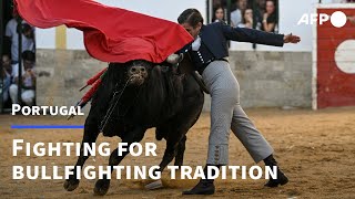 Portuguese fight to preserve bullfighting exception in Barrancos  AFP [upl. by Rennug186]