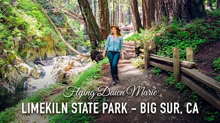 VLOG 46 Lovely Limekiln State Park  Big Sur CA [upl. by Wyndham683]