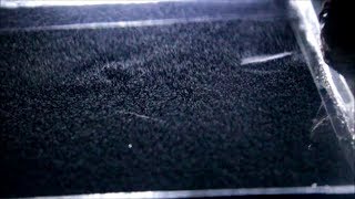 Granite in a Peltier cooled cloud chamber [upl. by Kwan]