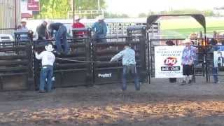 Dancing Bull knocks Rodeo Clown off Fence [upl. by Ignatius232]