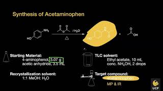 Synthesis of acetaminophen Overview and QampA [upl. by Ogait331]