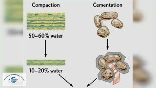 Compaction and Cementation [upl. by Aryek]