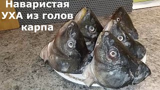 ТАКОЙ ВКУСНОЙ УХИ ВЫ ЕЩЕ 100 НЕ ПРОБОВАЛИ 🐟🐟🐟 [upl. by Nolyaj]