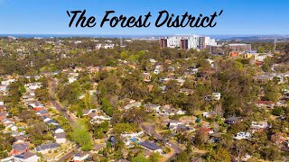 The Forest District [upl. by Napoleon8]