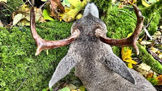 Removing scent glands on deer tarsal glands  Hunting BC cheechakooutdoors [upl. by Groark]