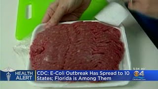 CDC E Coli Outbreak [upl. by Ursulette934]