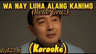 Wa nay luha alang kanimo by Rene Cruz KARAOKE j1236 [upl. by Ransell]