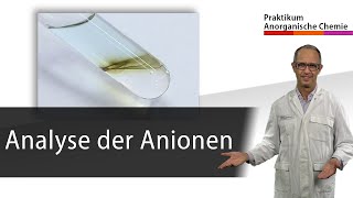 Analyse der Anionen  Praktikum Anorganische Chemie [upl. by Atilrac]