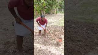 2 in 1 hand weeder rs 650 750 850 900 1000 1100 1250 melur madurai1 [upl. by Palumbo]