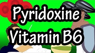 What Is Pyridoxine Vitamin B6  Functions Benefits Of Foods High In Pyridoxine Vitamin B6 Per Day [upl. by Nidla703]