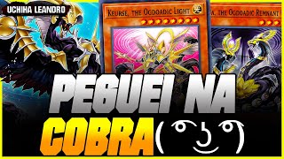 NOVO DECK RÉPTIL OGDOADIC TEM NOVA TRAP F2P APELONA  YUGiOh Duel Links [upl. by Brew]