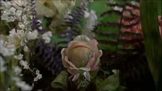 Little Shop Of Horrors 1986 Theatrical Ending [upl. by Honora]