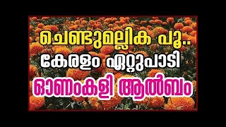 CHENDUMALLIKA POO KANDAL  ചെണ്ടുമല്ലിക പൂ കണ്ടാല്‍  chendumallika album song  നാടൻ പാട്ട് [upl. by Kreg]