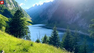 Amazing Fälensee🇨🇭Fahlensee Lake  Alpstein canton of AppenzellInnerrhoden Switzerland [upl. by Ciel]