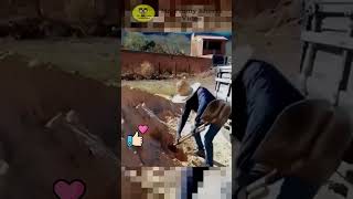 👷‍♂️ TRY NOT TO LAUGH  164 😁 The Best and Funniest Work Fails  Idiots at Work [upl. by Sena268]