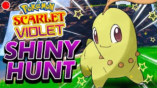 LIVE CHIKORITA GRASS STARTER Shiny Hunting in Indigo Disk Pokemon Scarlet and Violet DLC [upl. by Ellan]