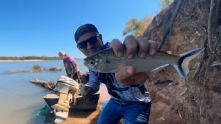 PESCARIA NO RIO ARAGUAIA É CERTEZA DE FARTURA DE PEIXES FIZEMOS PEIXE FRITO NO FOGÃO CAIPIRA [upl. by Arhas]