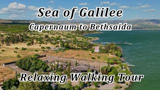 Capernaum to Bethsaida Relaxing Walk Tour Walk in the Footsteps of Jesus Enjoy the Sea of Galilee [upl. by Bordy]