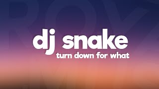 DJ Snake Lil Jon  Turn Down for What Lyrics [upl. by Naneik]