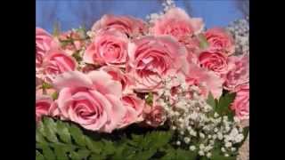 STRAUSS jr JOHANN Roses from the SouthWaltz op388 [upl. by Nyved]