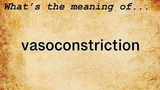 Vasoconstriction Meaning  Definition of Vasoconstriction [upl. by Iives]