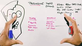 Most Common Prednisone Side Effects  Short Term and Long Term and Solutions  Corticosteroids [upl. by Gonsalve926]