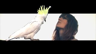 Taylor Swift  Trouble SCREAMING COCKATOO Taylor Swift [upl. by Llorrac527]