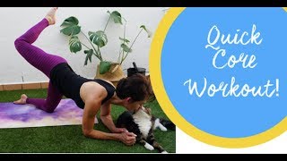 Pilates Quick Core Workout [upl. by Dlonra]