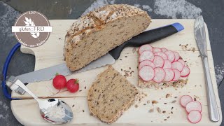 WAHNSINNIG leckeres Brot Körnerkruste  laktosefrei  vegan  glutenfrei backen mit Nadine [upl. by Deland83]